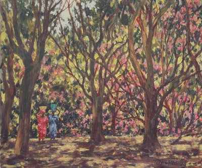 The Cashew Wood by Tilly Willis